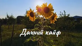 Дачний кайф #дачнежиття #garden