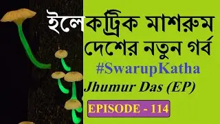 New Bioluminescent Mushroom Discovered In Meghalaya । Swarup Katha ep-114 । NorthEast । India ।China
