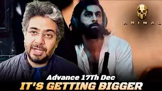 Animal Day 17 Advance Booking report, Animal Day 17 Box Office collection, MASSIVE WEEKEND