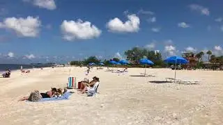 VIDEO: Red tide update on Bradenton Beach