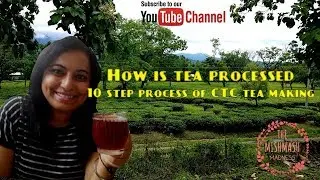10 step process of CTC tea making - how tea is processed ?