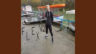 Flex V2