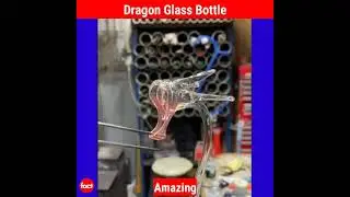 Dragon Glass Bottle | Factovation | Purnima Kaul