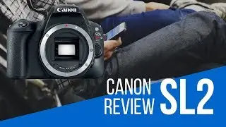 Mitch's Canon SL2 Review (The BEST VALUE Camera on the Market RIGHT NOW)