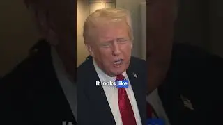 Трамп заявил, что протесты &laquo;Нет королям&raquo;, собравшие семь миллионов человек, были &laquo;очень незначите...