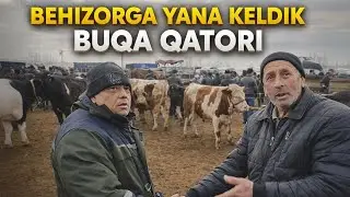QUVASOY BEHIZOR MOL BOZORI KOTTA-KICHIK BUQA NARXLARI NIMAGA BOZORDA NARXLAR BUNDAY16 января 2026 г.