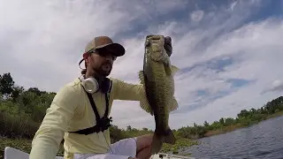 Lipless Crank Delivers, Again!