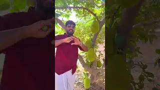 Экспериментальная ферма
