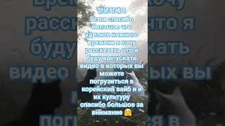 #KoreaVibes #KVibesWithDiana #КорейскиеВайбы #DianaInKorea #한류