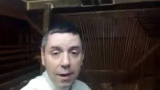 Órgano, sus partes 10 de abril de 2020
