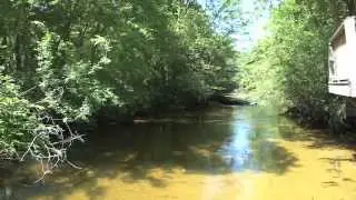 Отличный Эконфина Крик WMA
