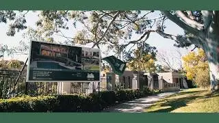 Belle Property Marketing Service Experience