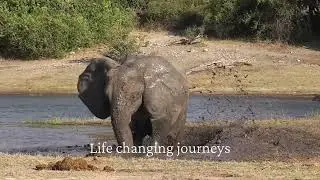 Travel with Sense Earth