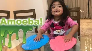 DIY Amoeba. Como fazer Amoeba (Geleca) em casa!