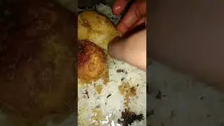 anda biryani#sg foodies vlog