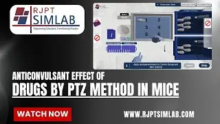 Anticonvulsant effect of drugs by PTZ method in mice | RJPT Simlab | Your Virtual Pharmacology lab