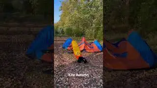 Kite autumn