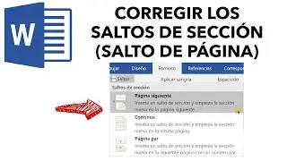 Como crear un salto de secci&oacute;n en WORD Office 2023 - Saltos de secci&oacute;n organizados (Indice en Word)