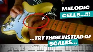 MELODIC  CELLS!