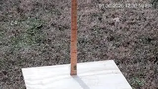 Garner NC Backyard Feeder Feed