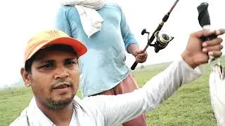Amazing fishing Murrel  |Big Murrel Fish Catching | fishing Vlog In Hindi 🎣