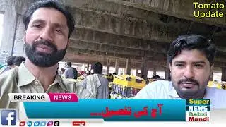 New tomato start from Sindh reason for shortage of tomatoes in Pakistan Find  detail Ch Zohaib with