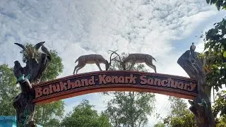 Balukhand-Konark Sanctuary