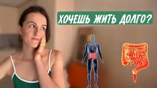 Как остановить внутренний износ? Что важнее для долголетия?