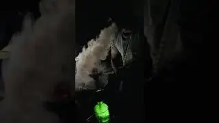 night out Hookah parlour WhatsApp status.... subscribe karo guys..- Hookah night .out .... #shorts