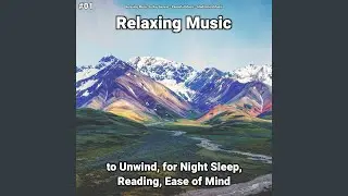 Lovely Echoes
