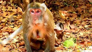 What strange ? Mom Jane leave food for poor baby Jody she look at me to ask more