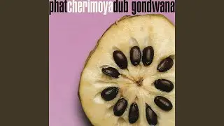 Dubba Langa