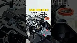 Йкофемашина Delonghi magnifica EVO перестала готовить кофе. Вода проливается, а кофе не готовит.