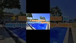 Шри-Ланка/отели 🫧/ Hibiscus Beach hotel 🏖️ #путешествия #отдых #тур #недвижимость