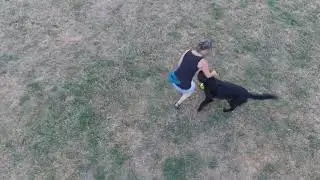 Dog Kids and a Snap Drone