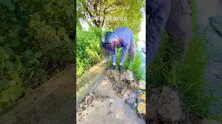 Oddly Satisfying Lawn Cleanup and Trash Removal ASMR 🌱🧹