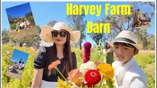 Family visit to Harvey Farm Barn/Bunbury/WA/Perth/Australia