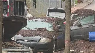 Cleanup after flooding in Atlanta | FOX 5 News