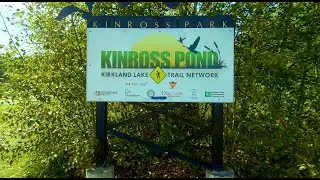 Walking Kinross Pond -  Kirkland Lake, Ontario