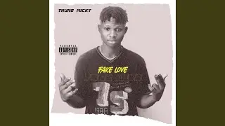 Fake Love