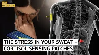 The Stress in Your Sweat &ndash; Cortisol Sensing Patches
