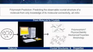 Solid Form Suite Webinar #2: Solid Form Design in the Pharmaceutical Industry