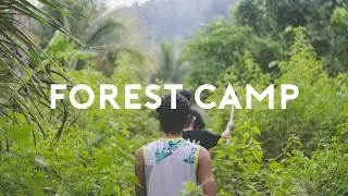 The Forest Camp, Valencia