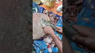 Amazing prawn cutting skills !