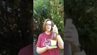 Prosecco tasting