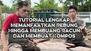 Tutorial memanfaatkan rebung sebagai pakan ayam