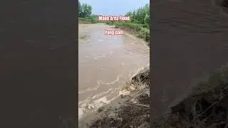Flood in mand area | pong dam talwara | pong dam water level today news