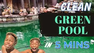 From Green Pool to Crystal Clear in 5 Minutes: Our Quick Solution