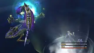 Final Fantasy X NSG Shinryu Runs