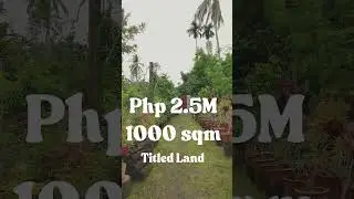 Mini-Farm For Sale in San Pablo City Laguna